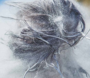 Hier zu sehen sind lange dunkle Haare mit Schuppen | Was hilft gegen Schuppen Tipps & Tricks - Hair&Style Altbach